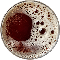 https://sipsalud.com/wp-content/uploads/2017/05/beer_transparent_02.png